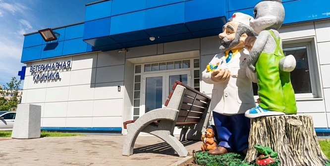 В Сосновом Бору проведут выездную регистрацию животных и вакцинацию от бешенства